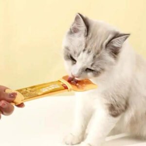 Cat feeder. cat feeding device. food spoon. for pets