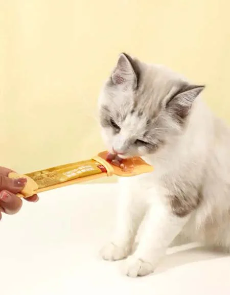 Cat feeder. cat feeding device. food spoon. for pets